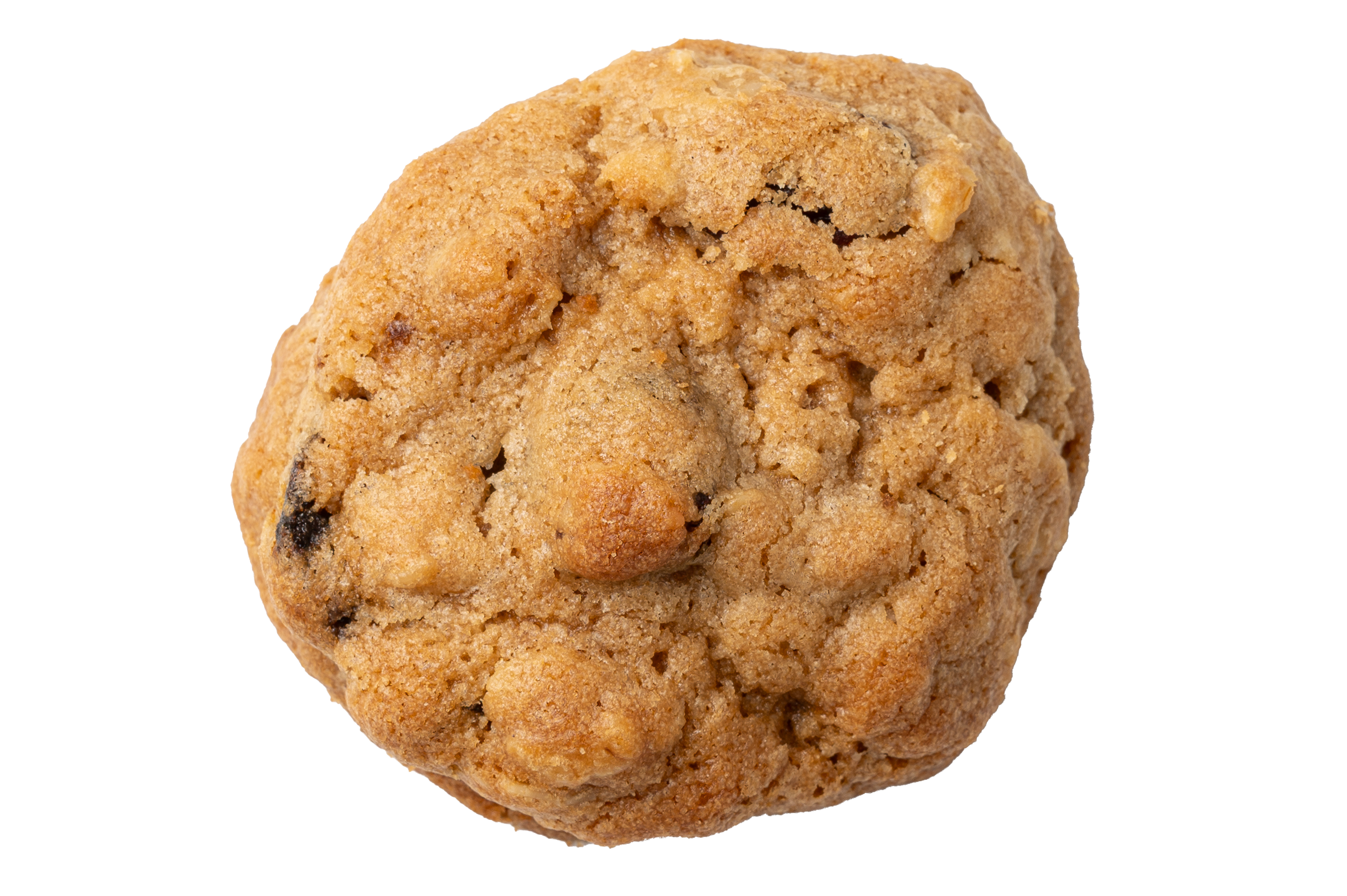 Oat & Raisin
