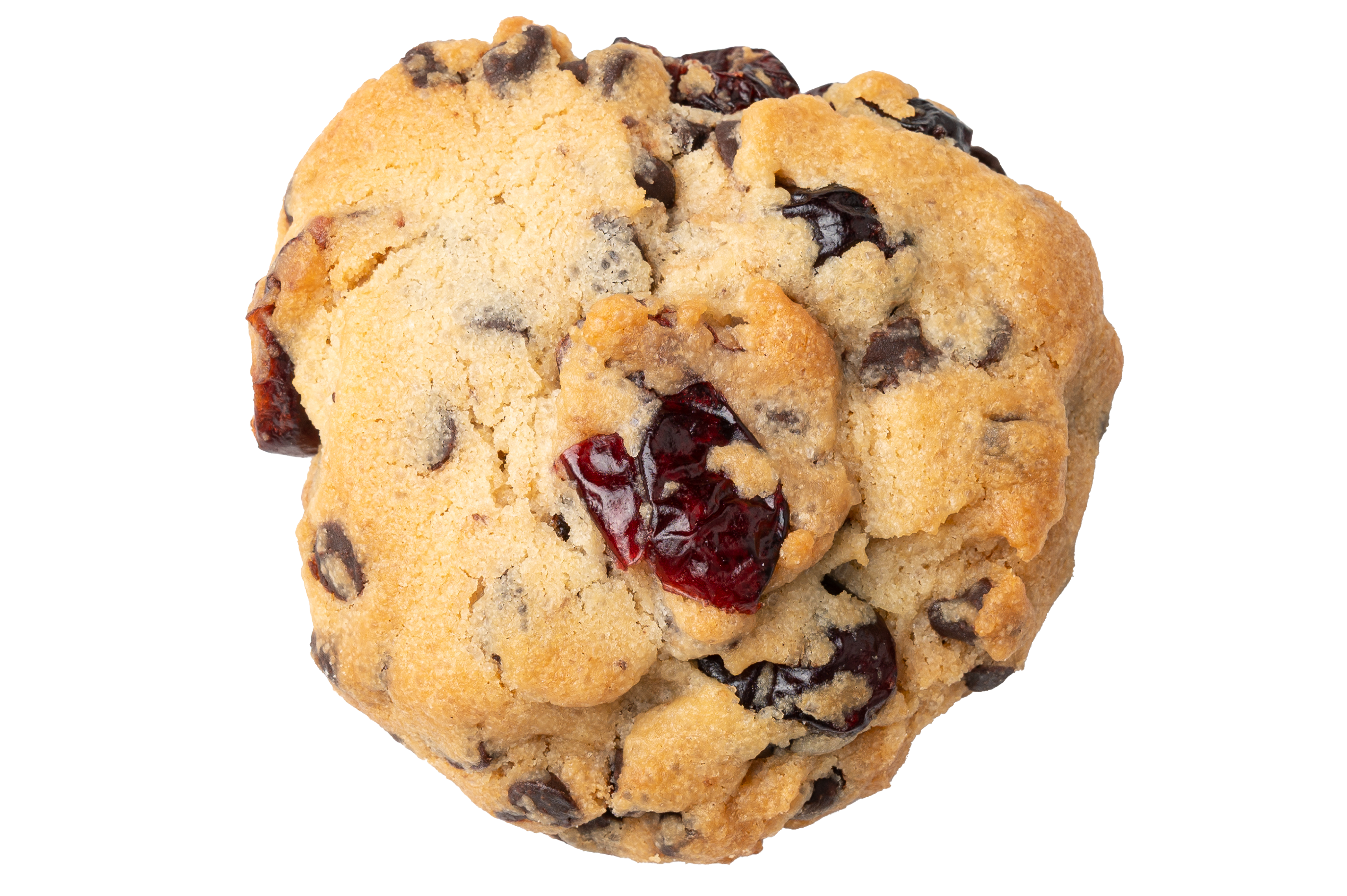 Cranberry Chocolate Chip