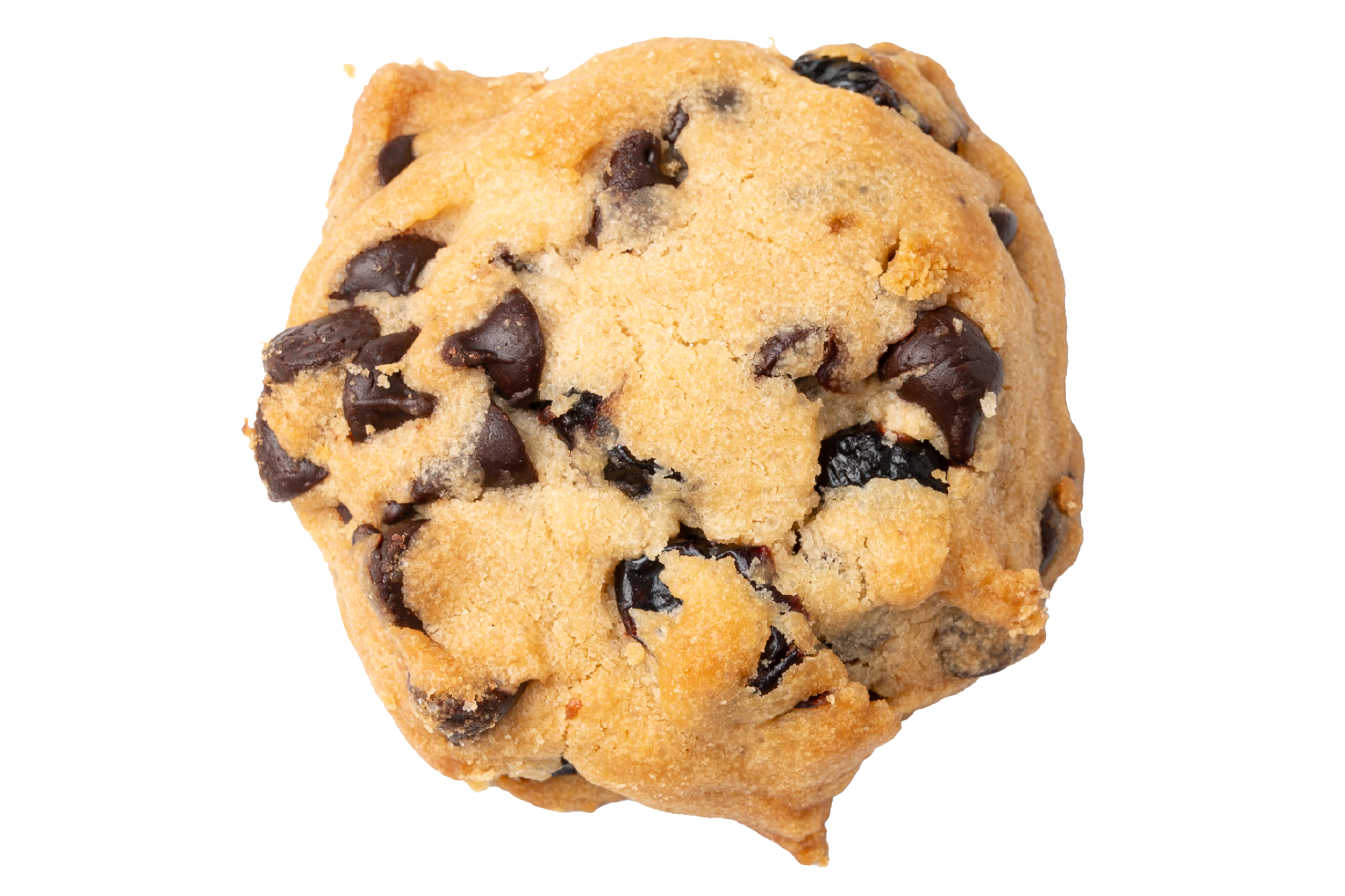 Chocolate Chip